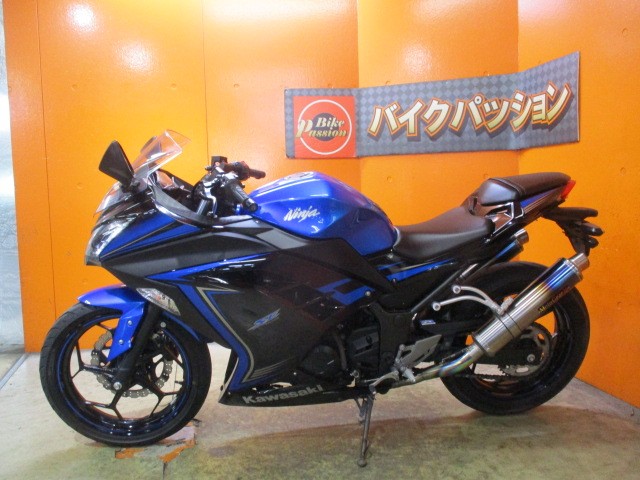 反対側もこの通り状態グッド！手ごろでかっこいい２５０レプリカお探しならこのＮＩＮＪＡで決まりですよね